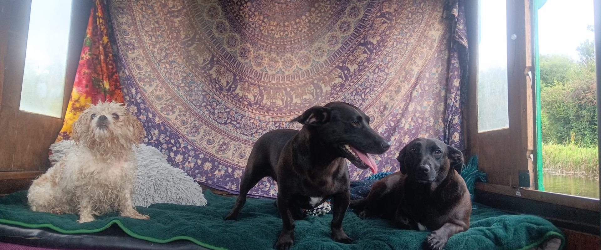 challenge background