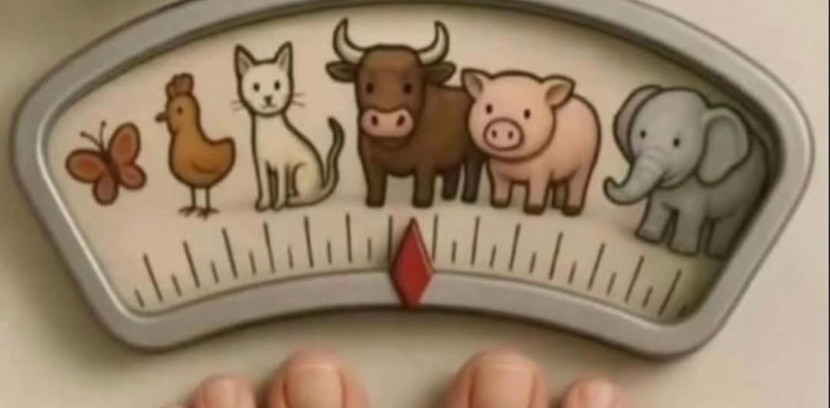 challenge background