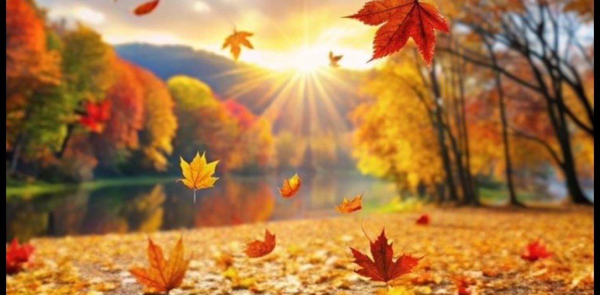 🍁🍂Autumn-Steps🍂🍁 logo