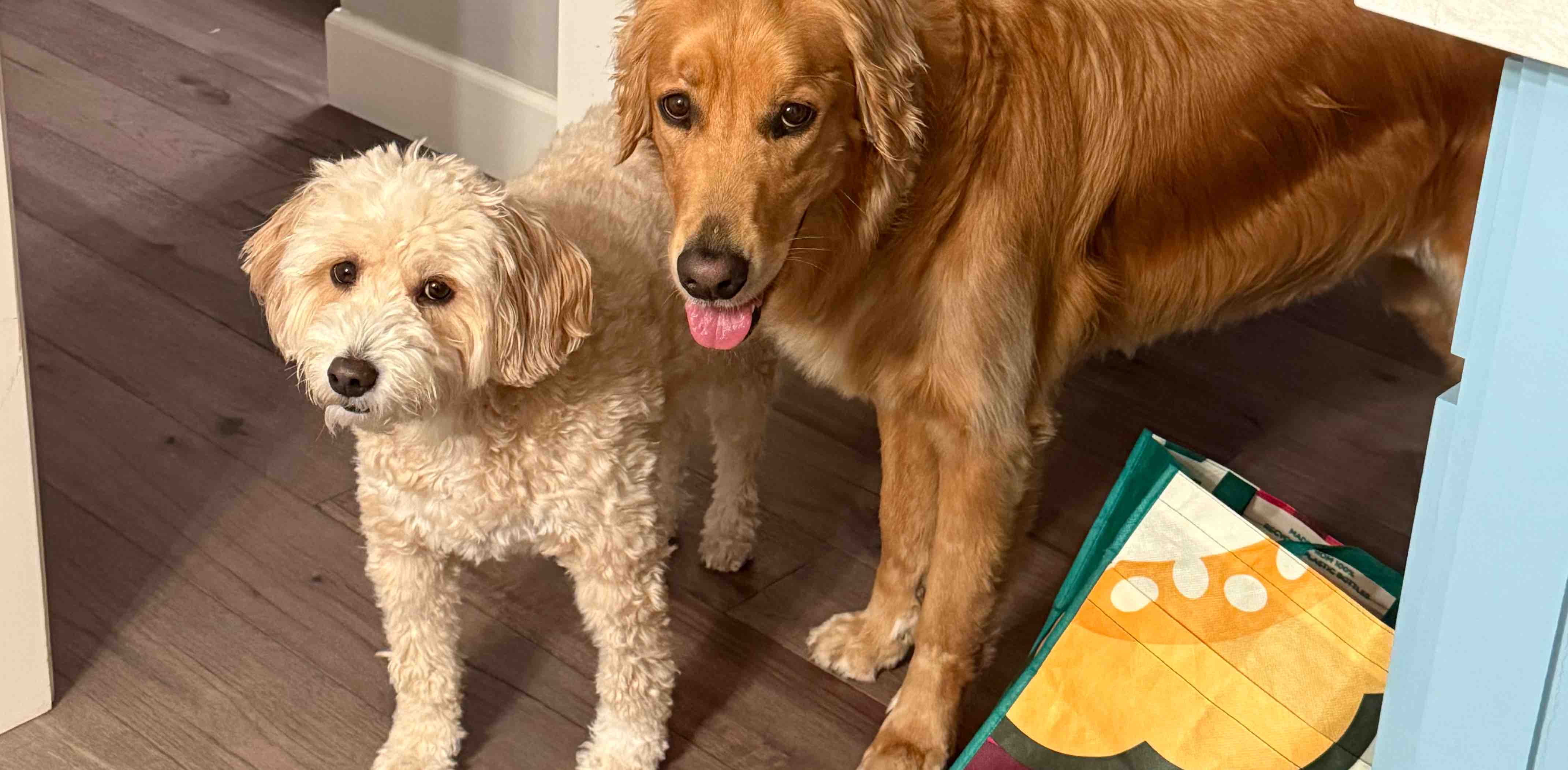 challenge background