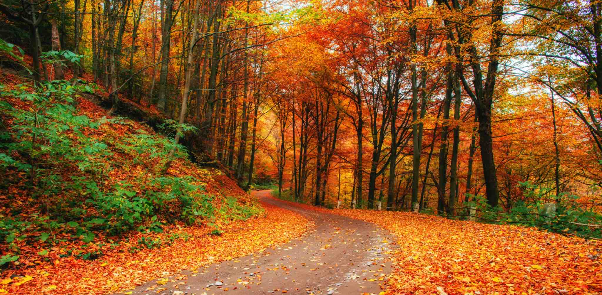 challenge background