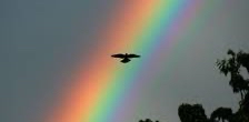 π LβARC EN CIEL πππ¦οΈ logo