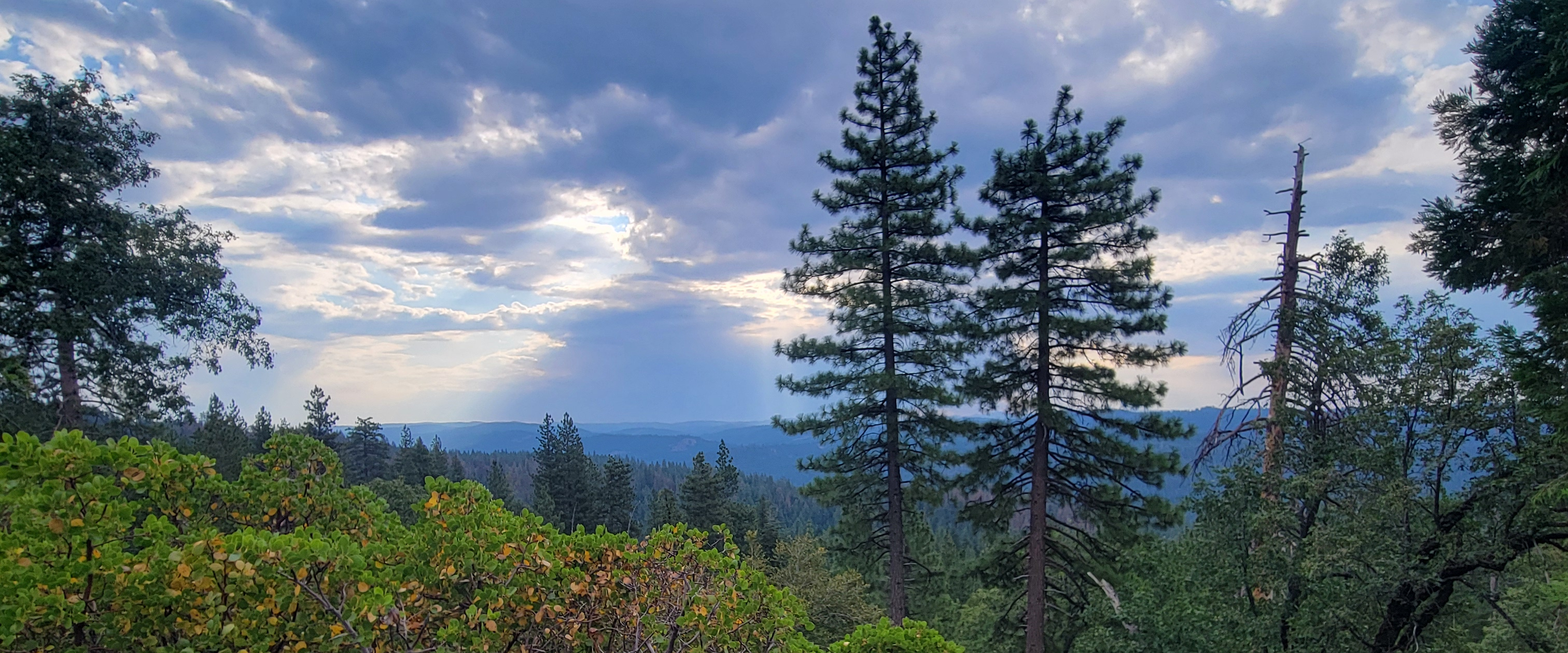 challenge background