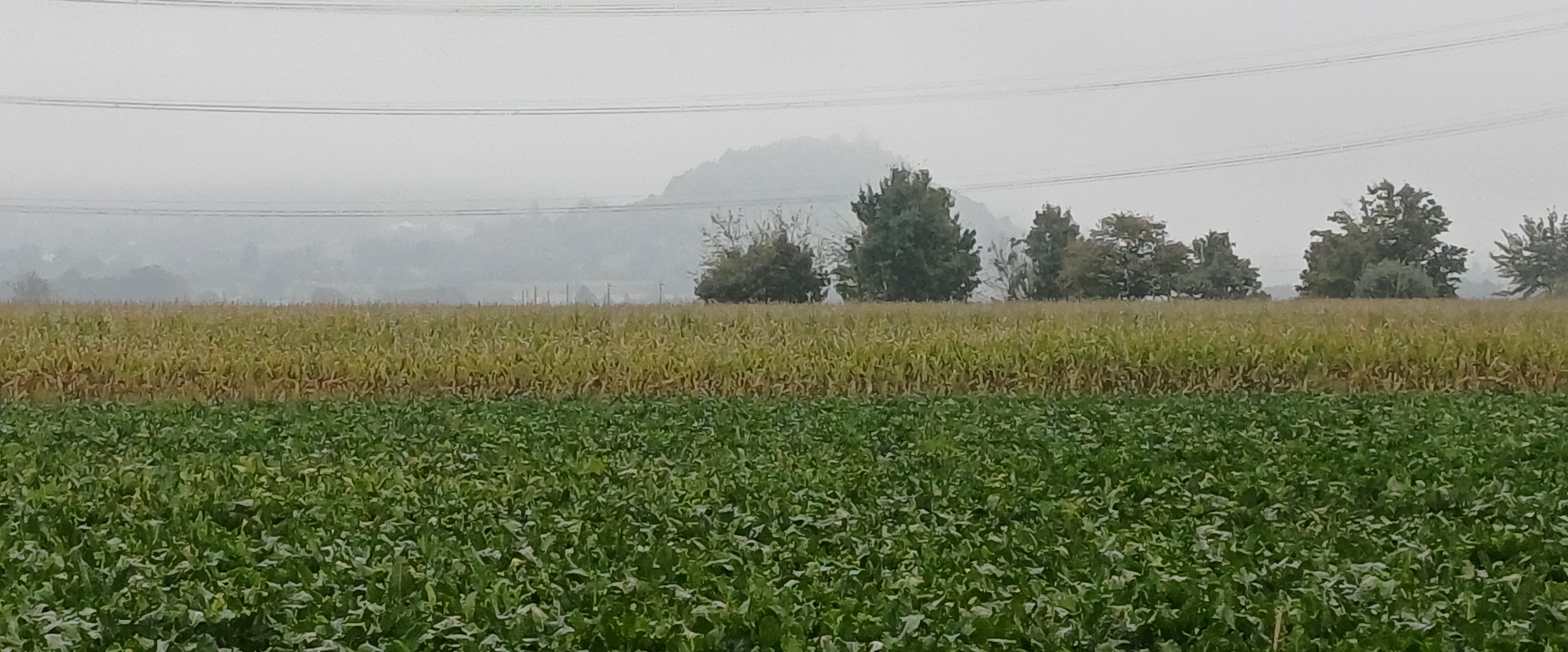 challenge background