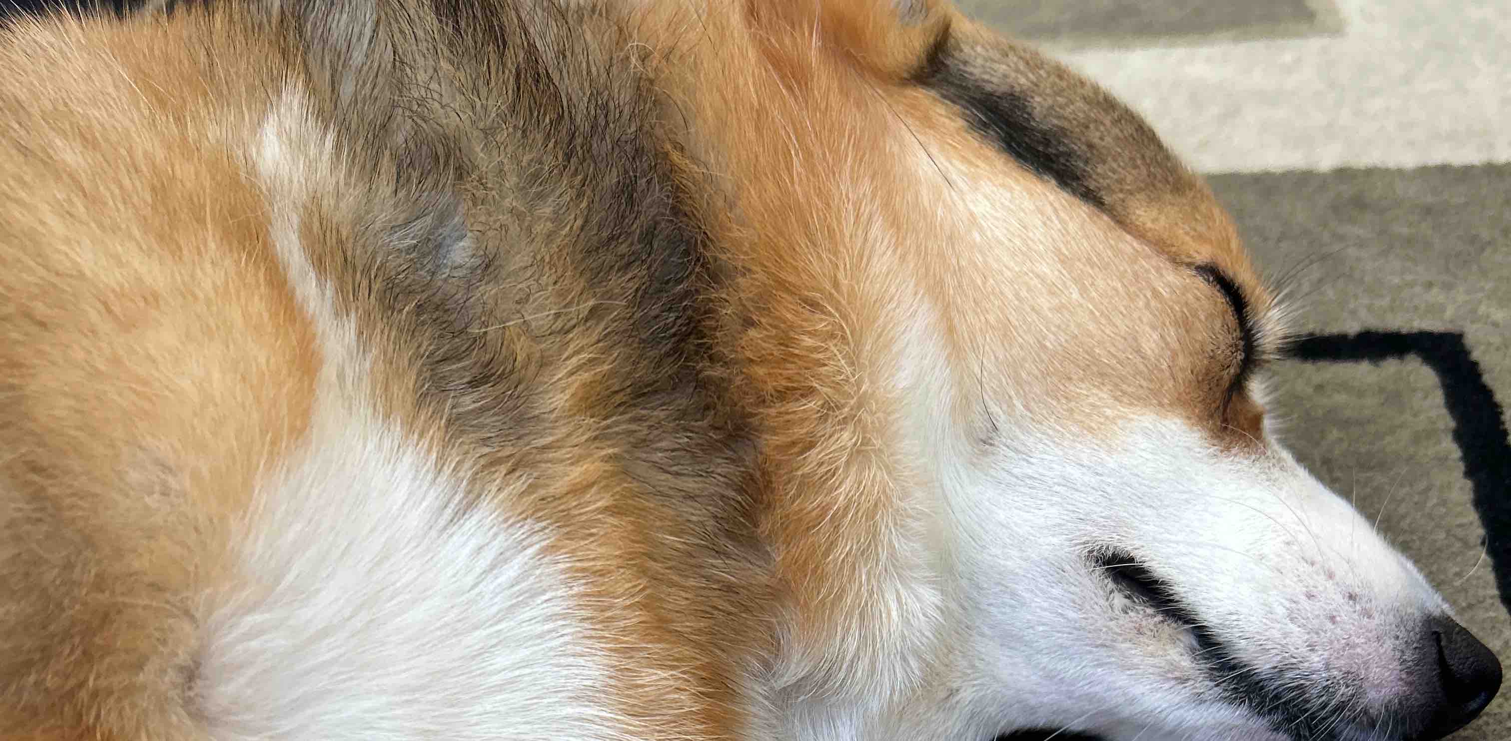 challenge background