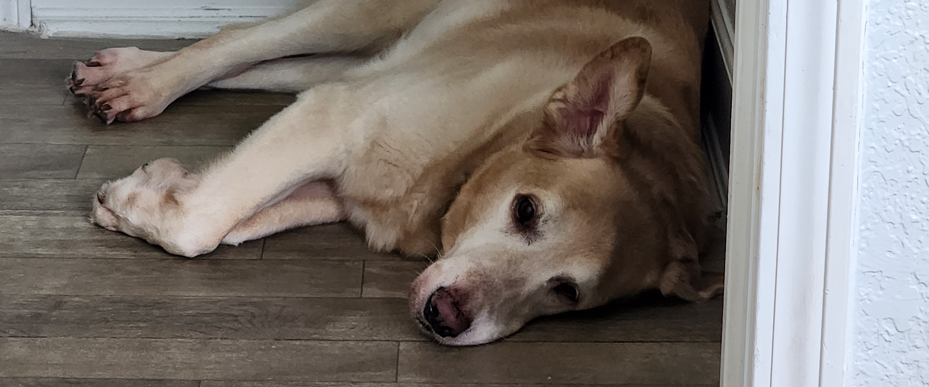 challenge background