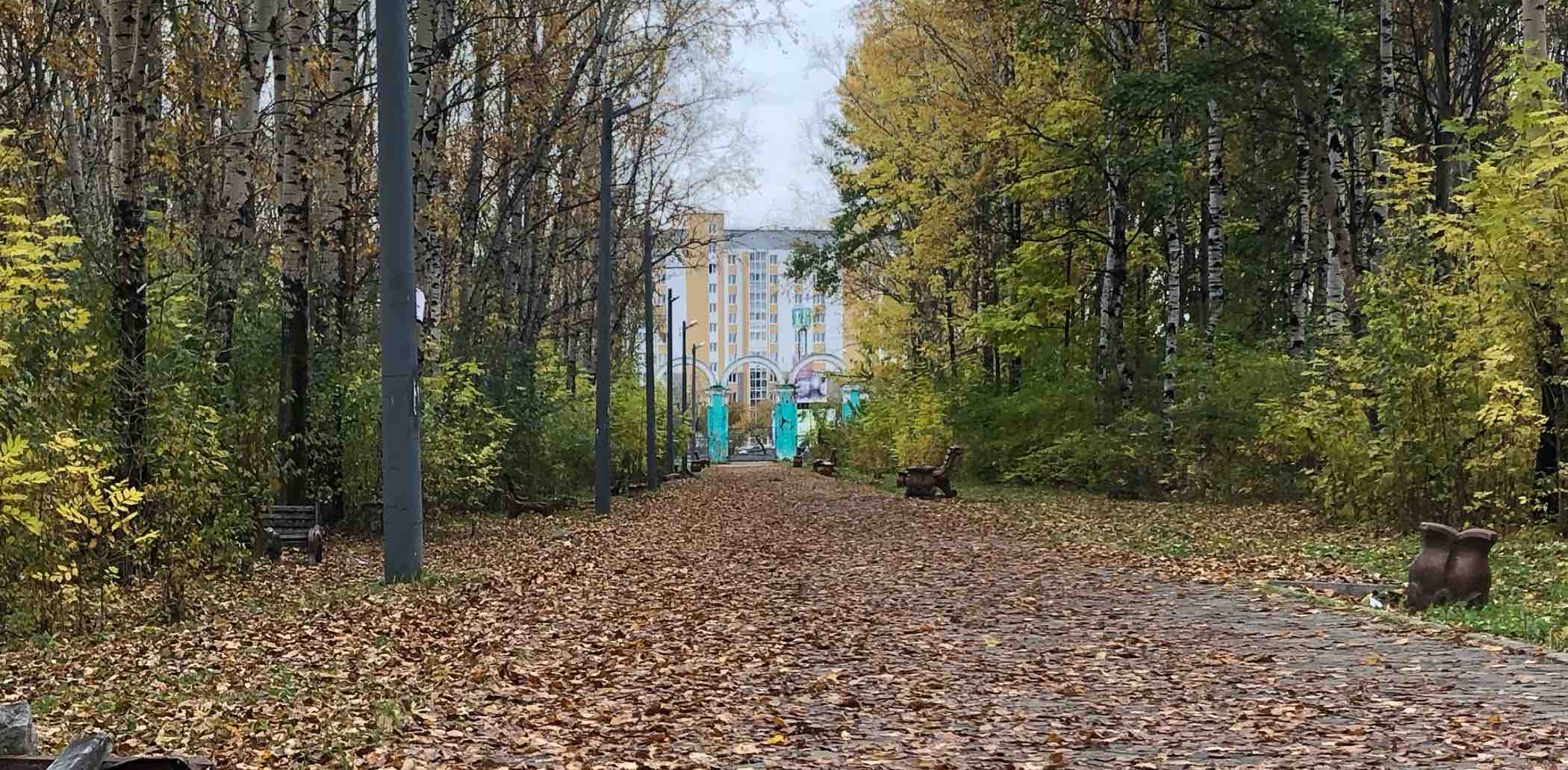 challenge background