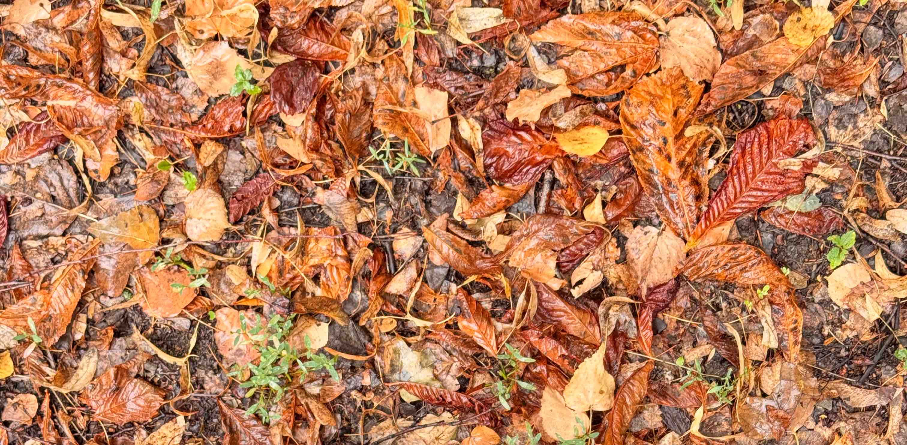 challenge background