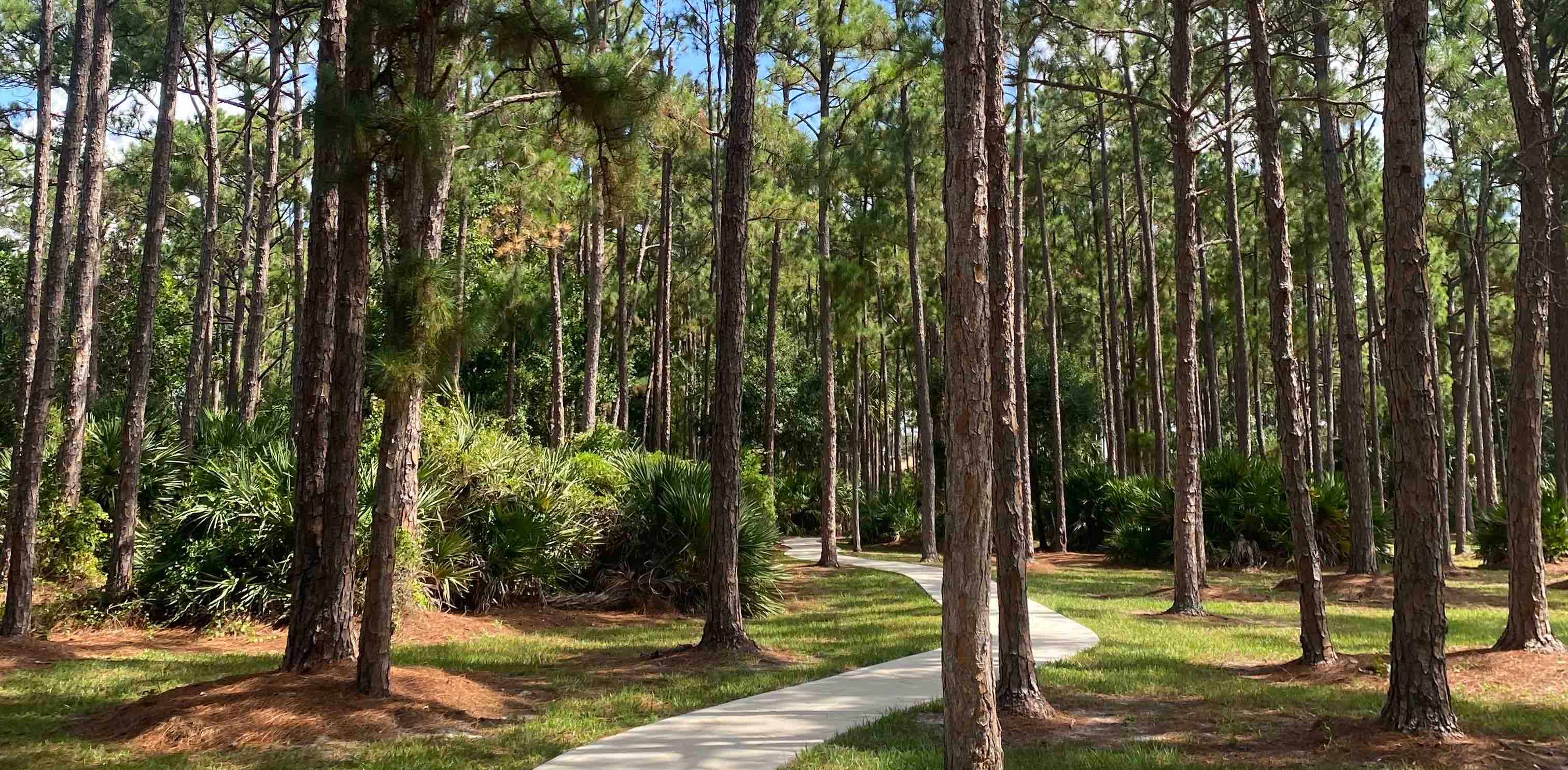 challenge background