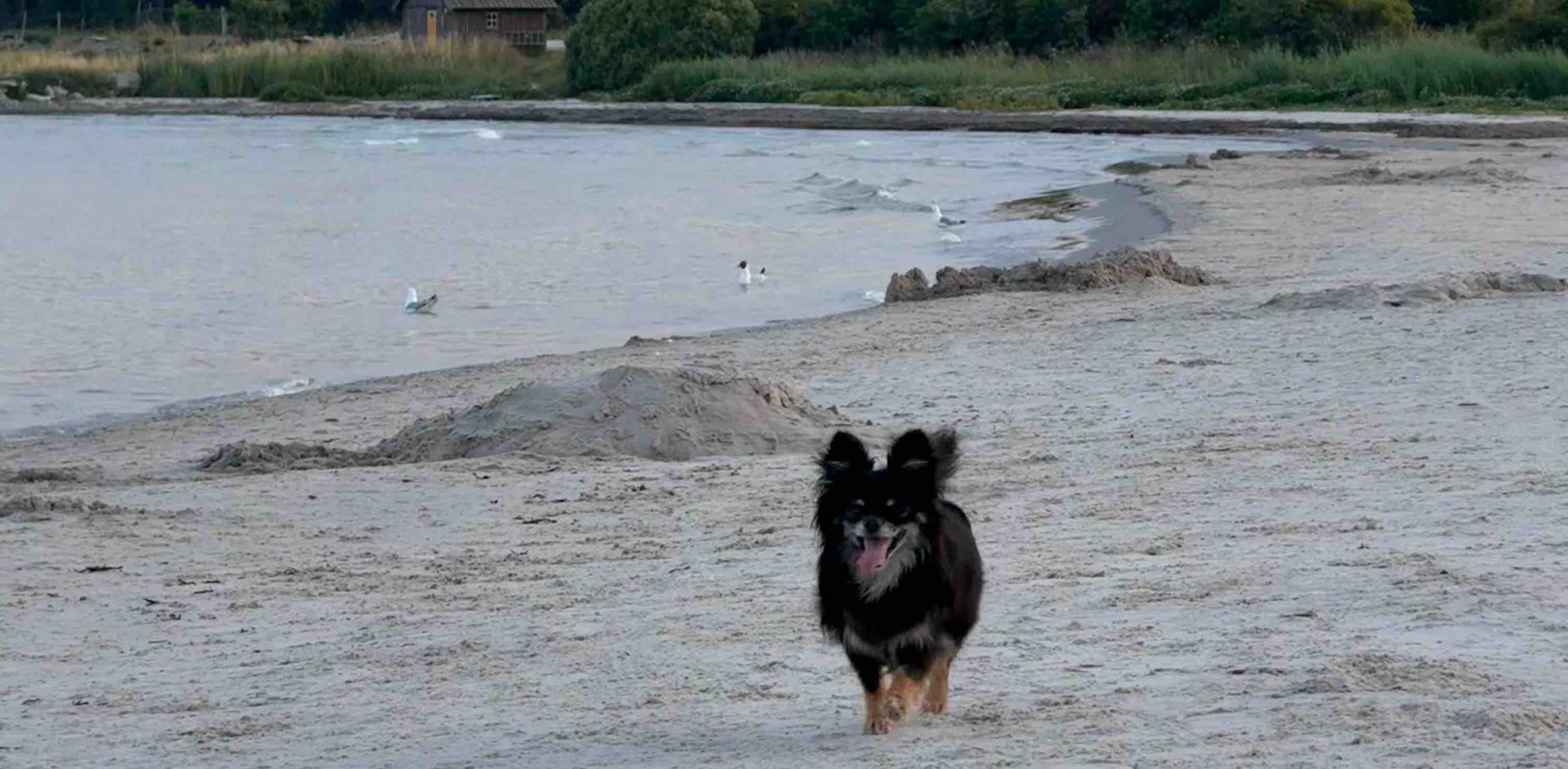 challenge background