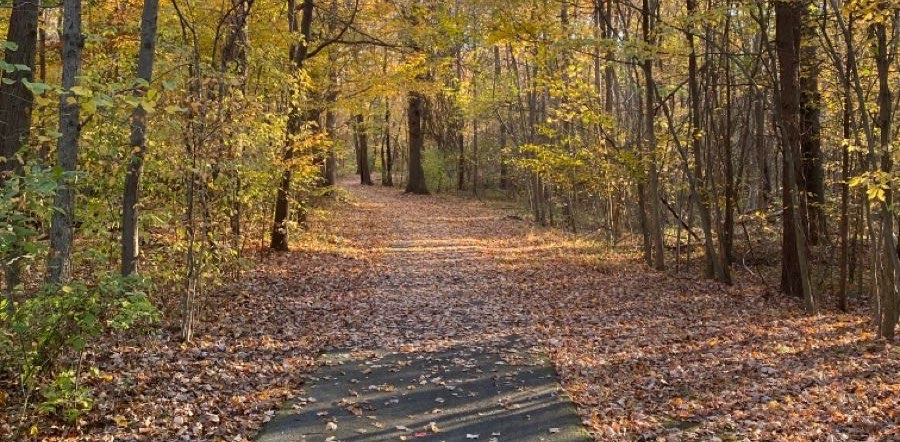 challenge background