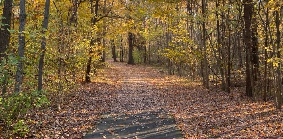 challenge background