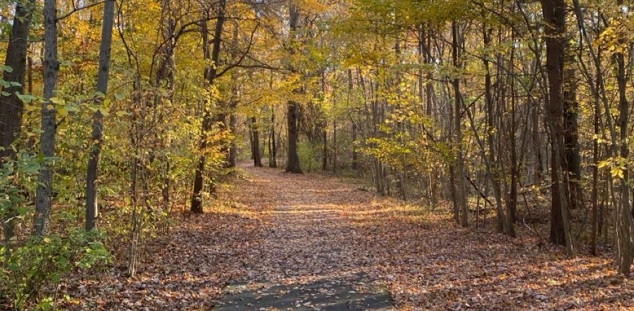 challenge background