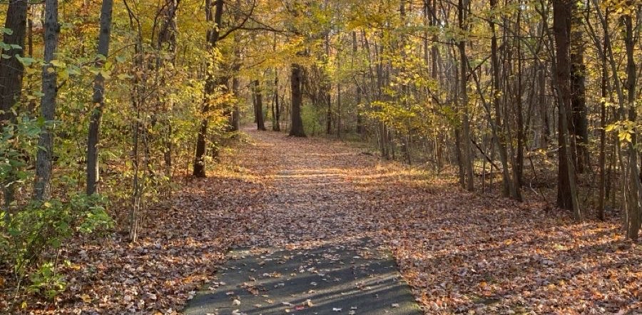 challenge background