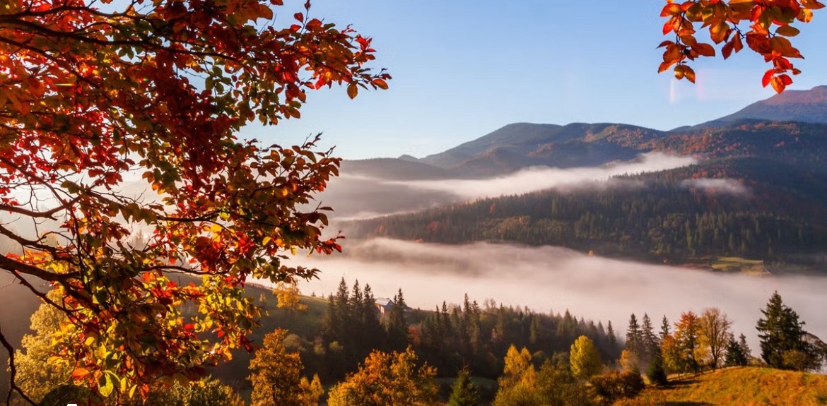 challenge background