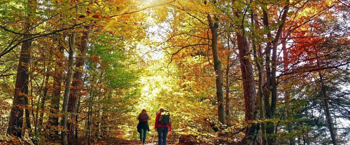 challenge background