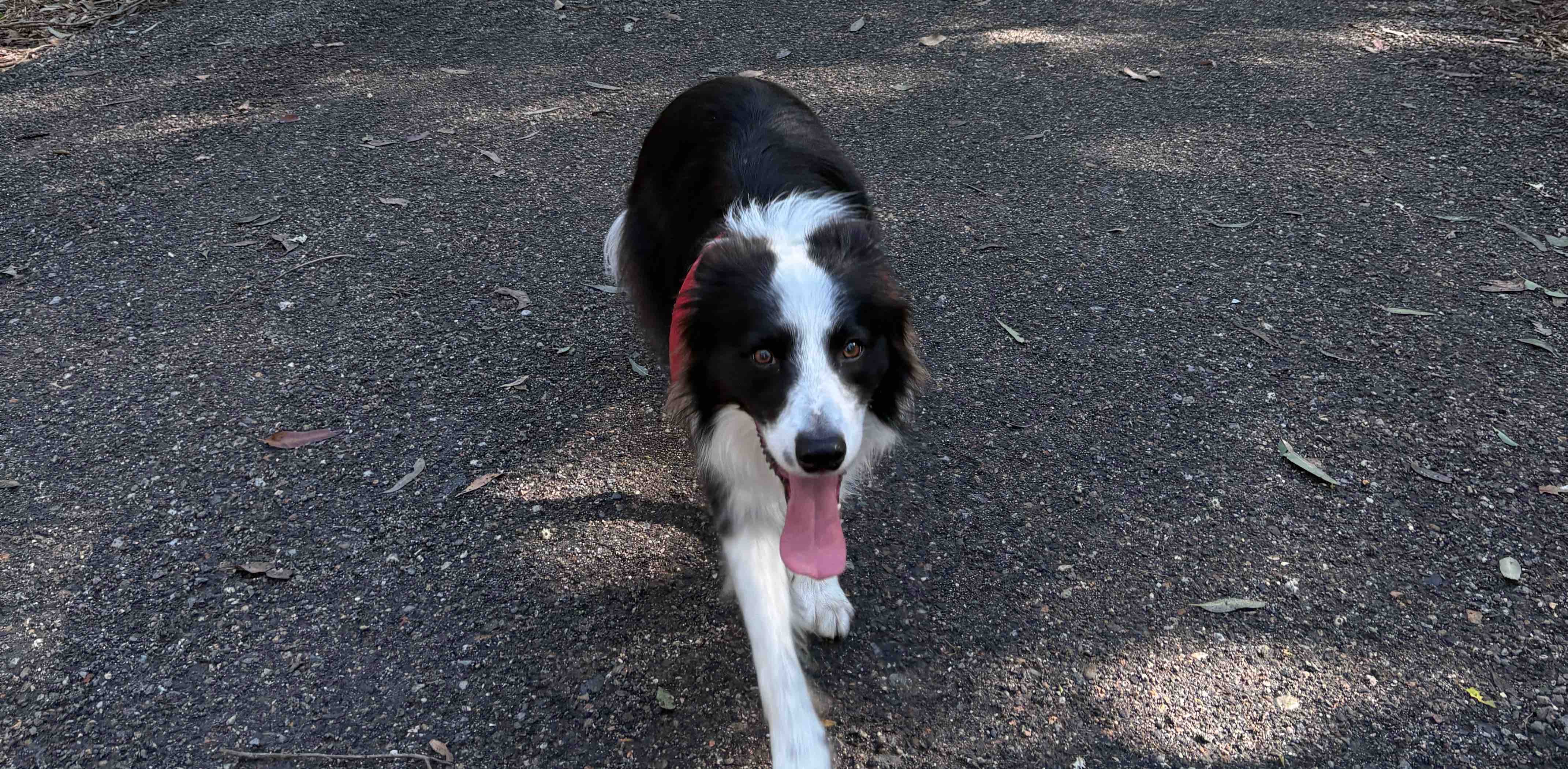 challenge background