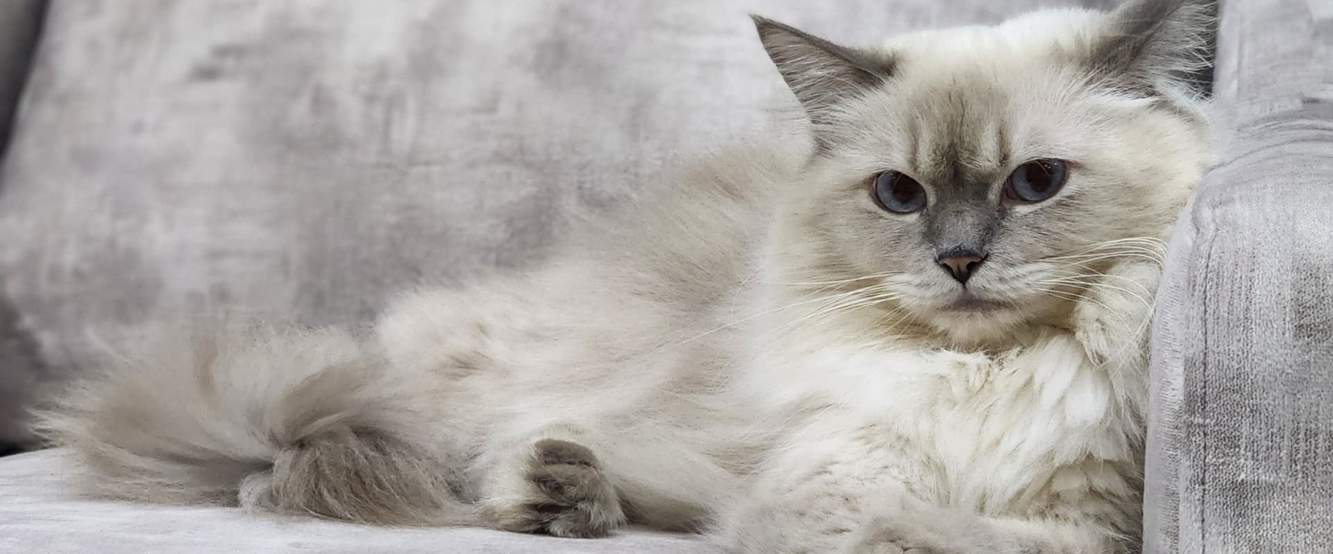 challenge background