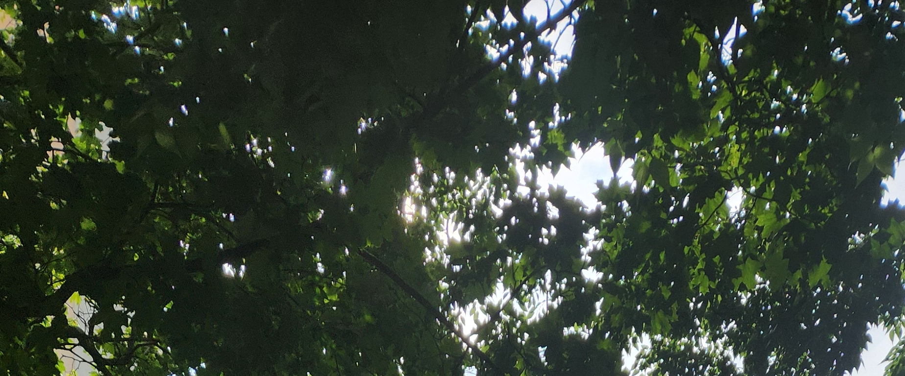 challenge background