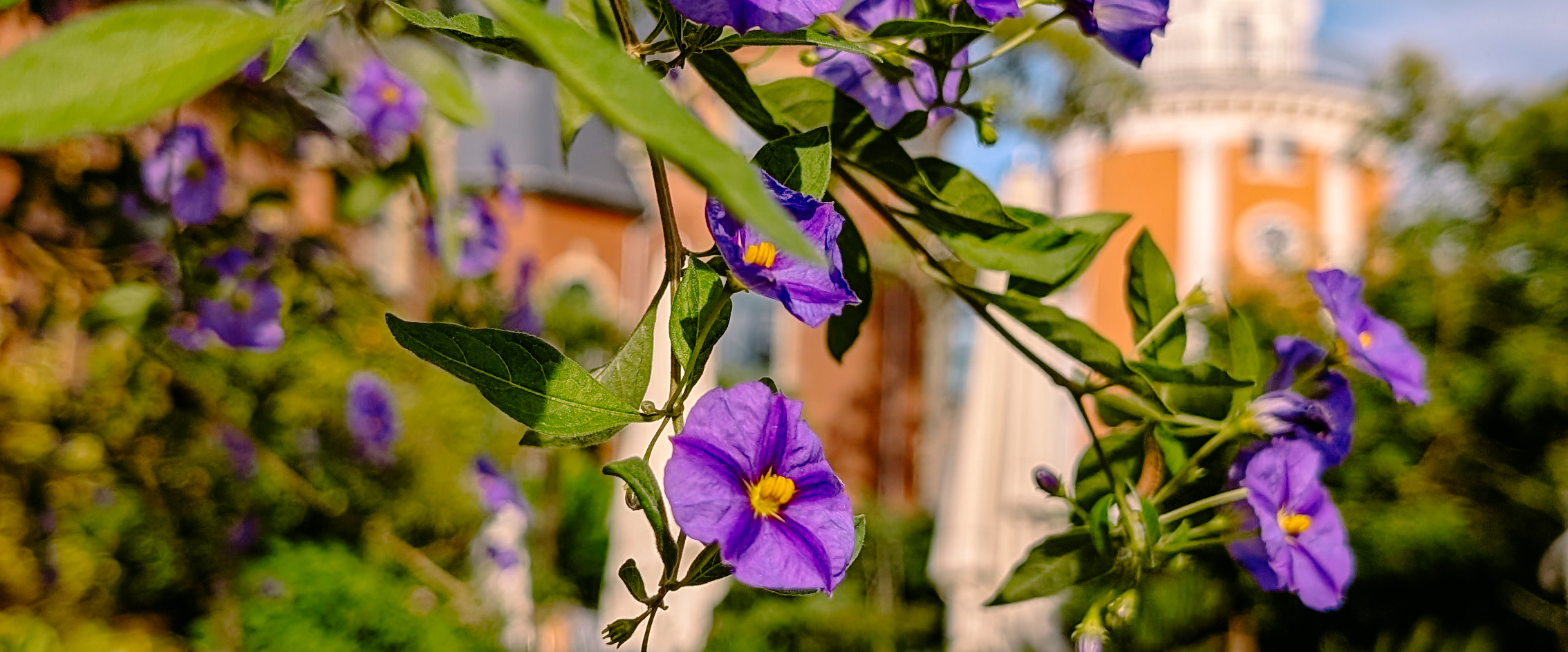 challenge background