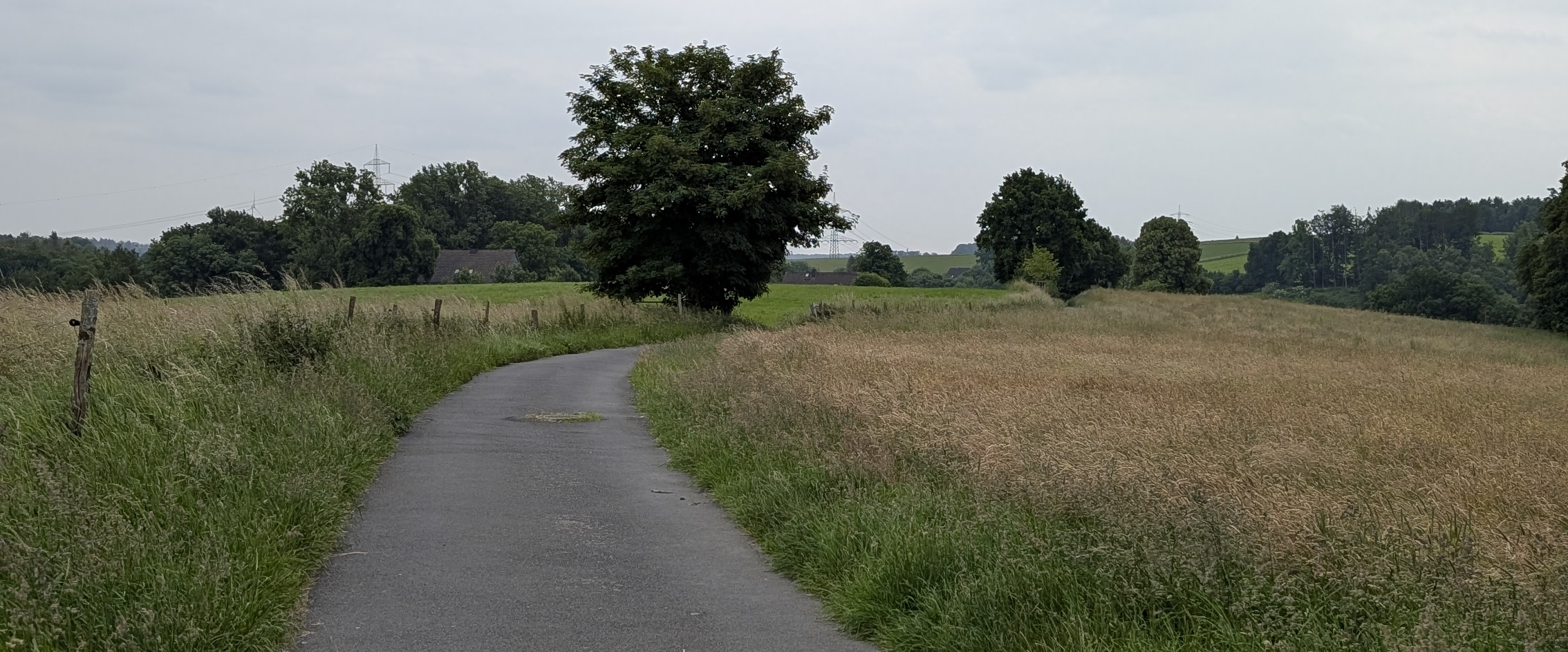 challenge background