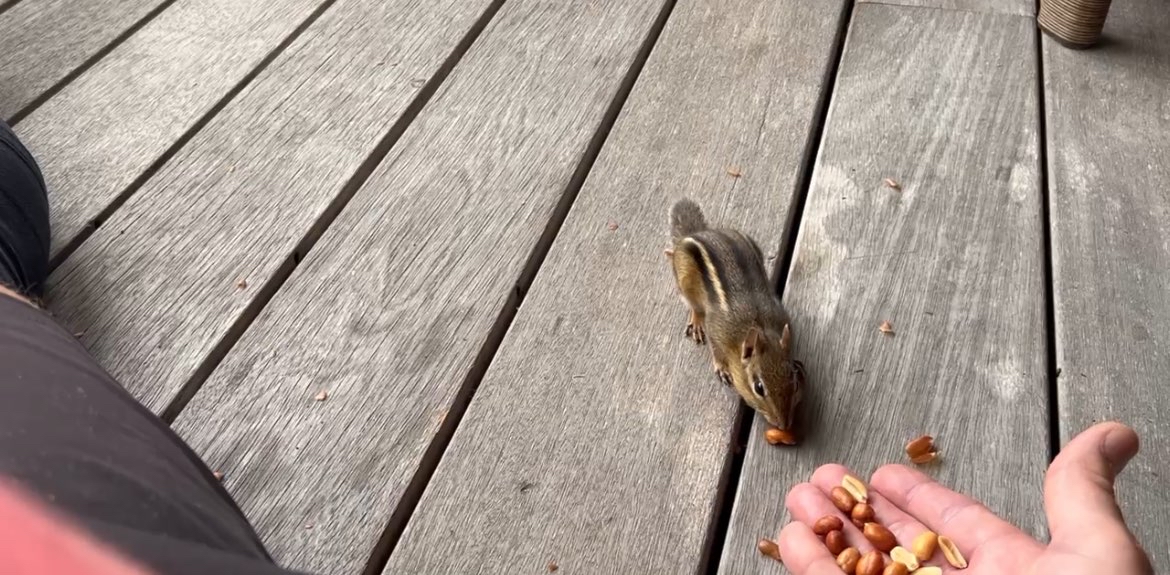 challenge background