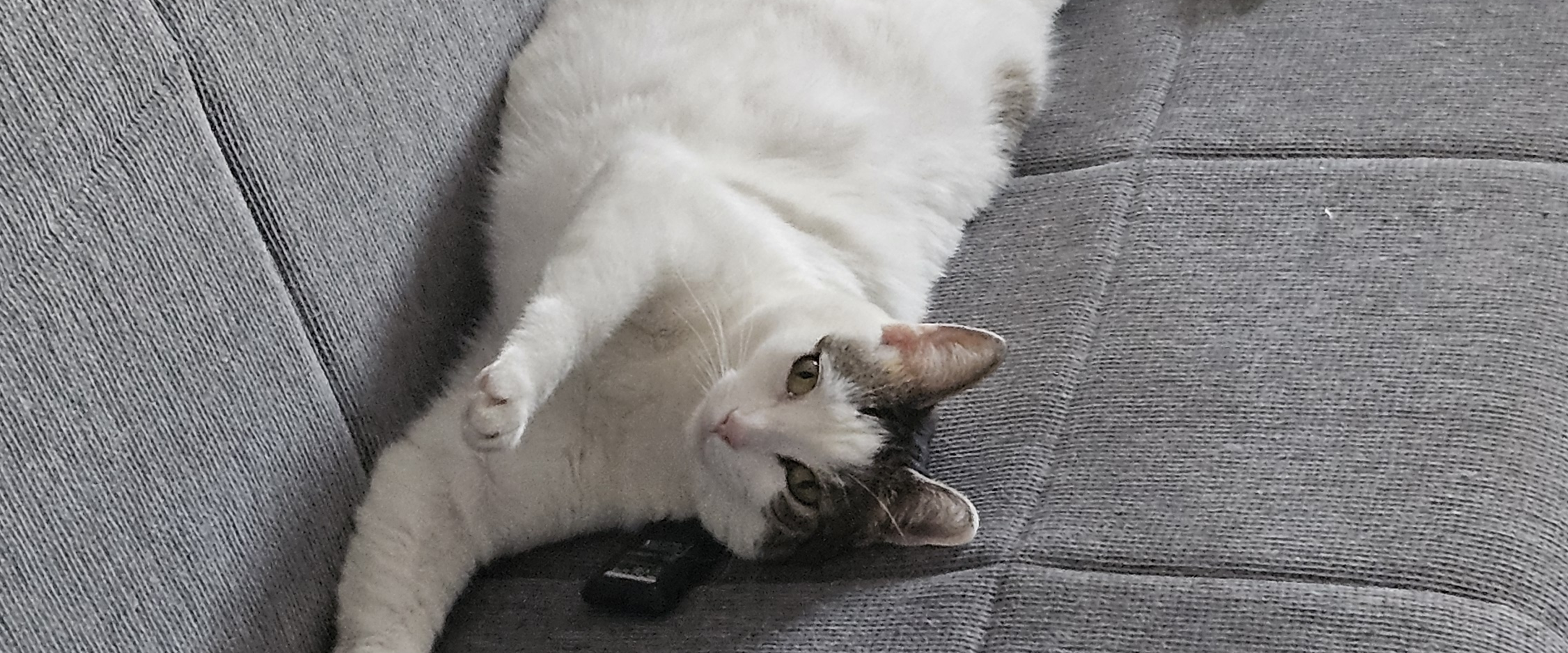 challenge background