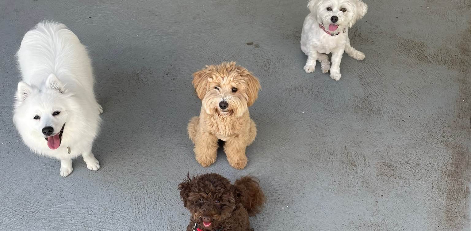 challenge background