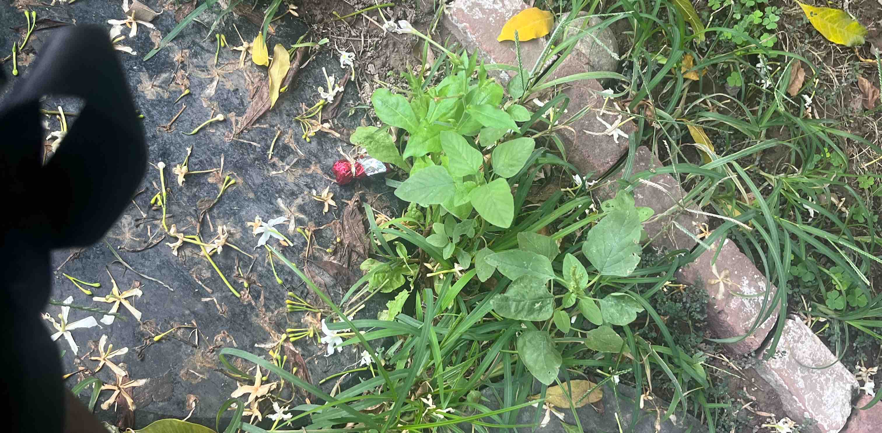 challenge background