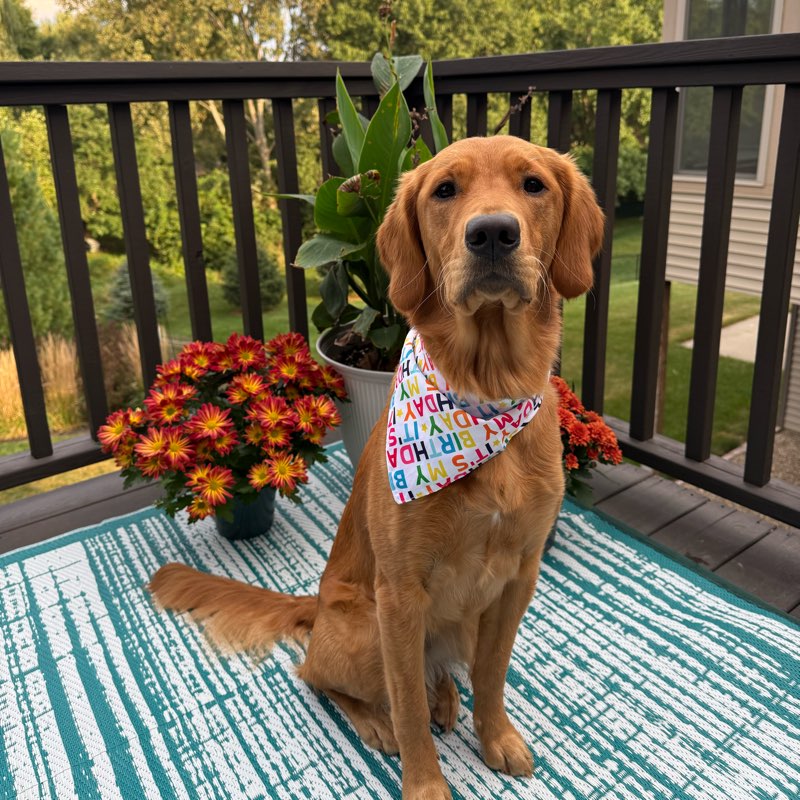 No more couch potatoes logo