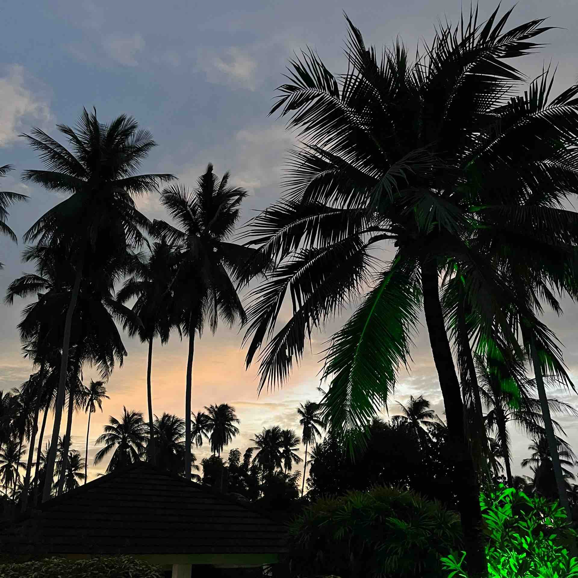 >16000 daily/Hardcore. Moscow. logo