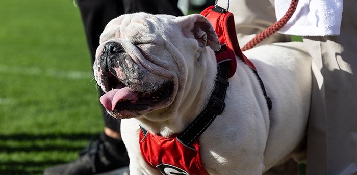 challenge background