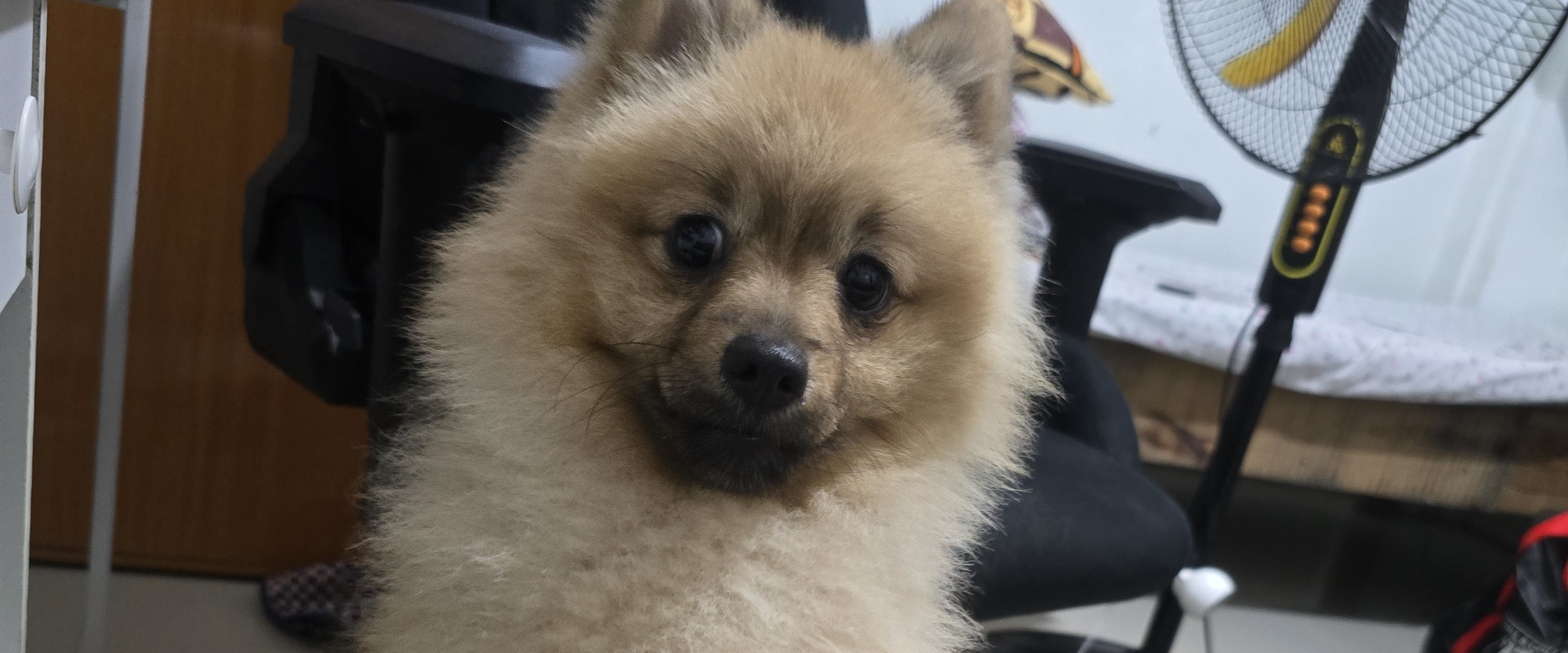 challenge background