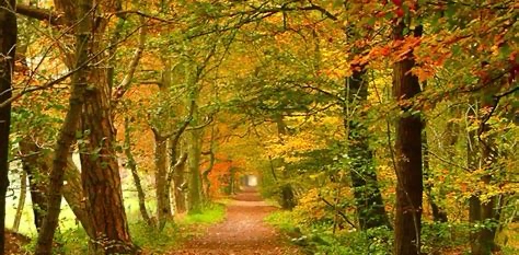 challenge background