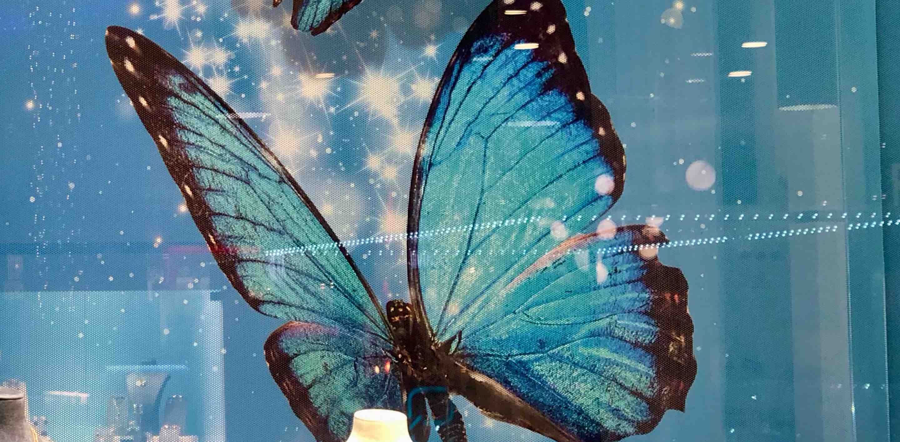 challenge background