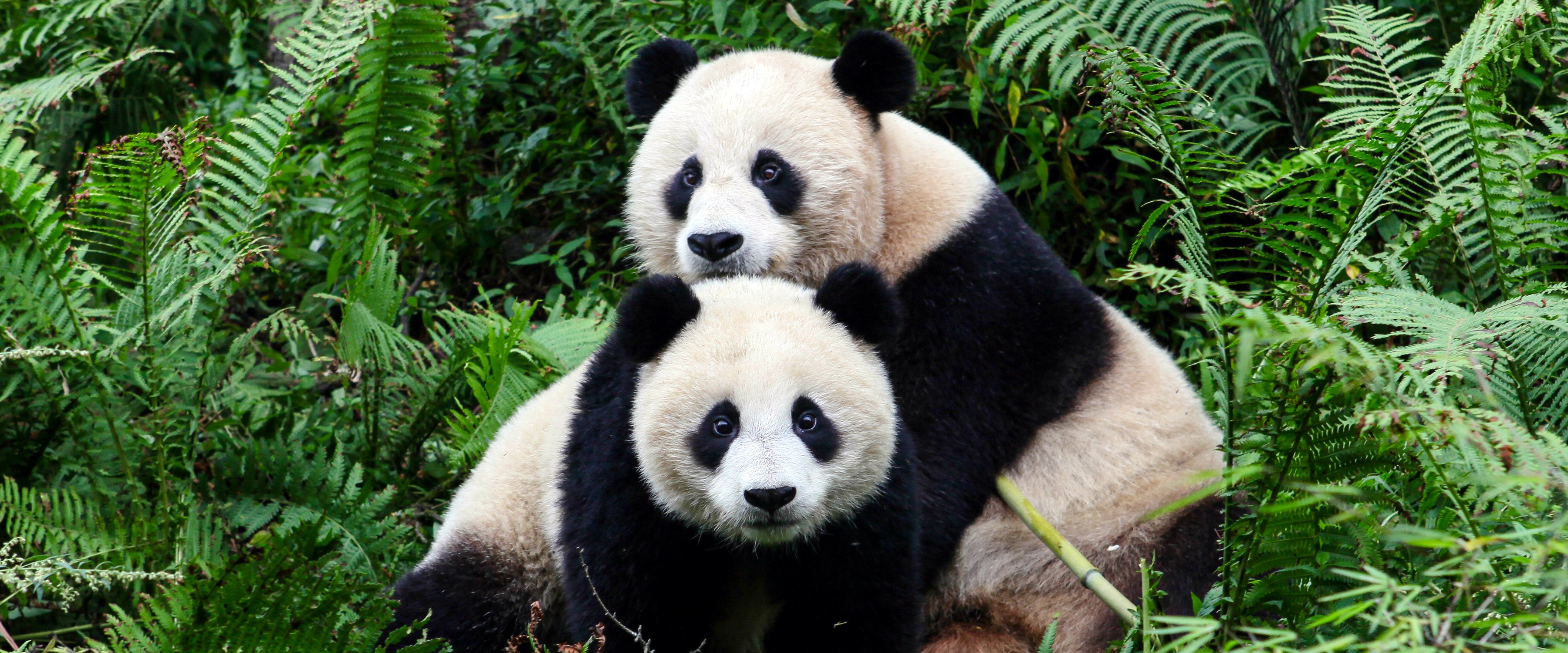 challenge background