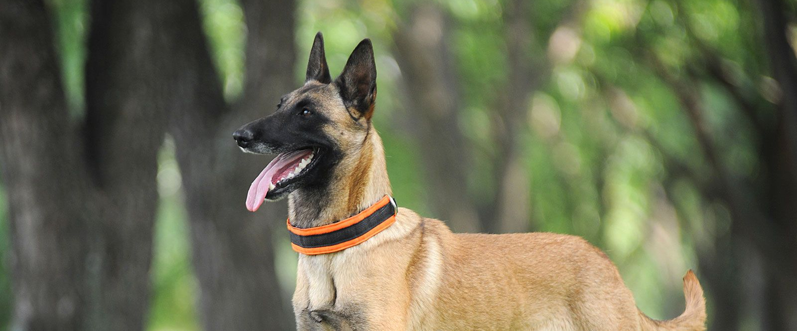 challenge background