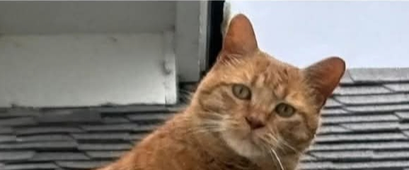 challenge background