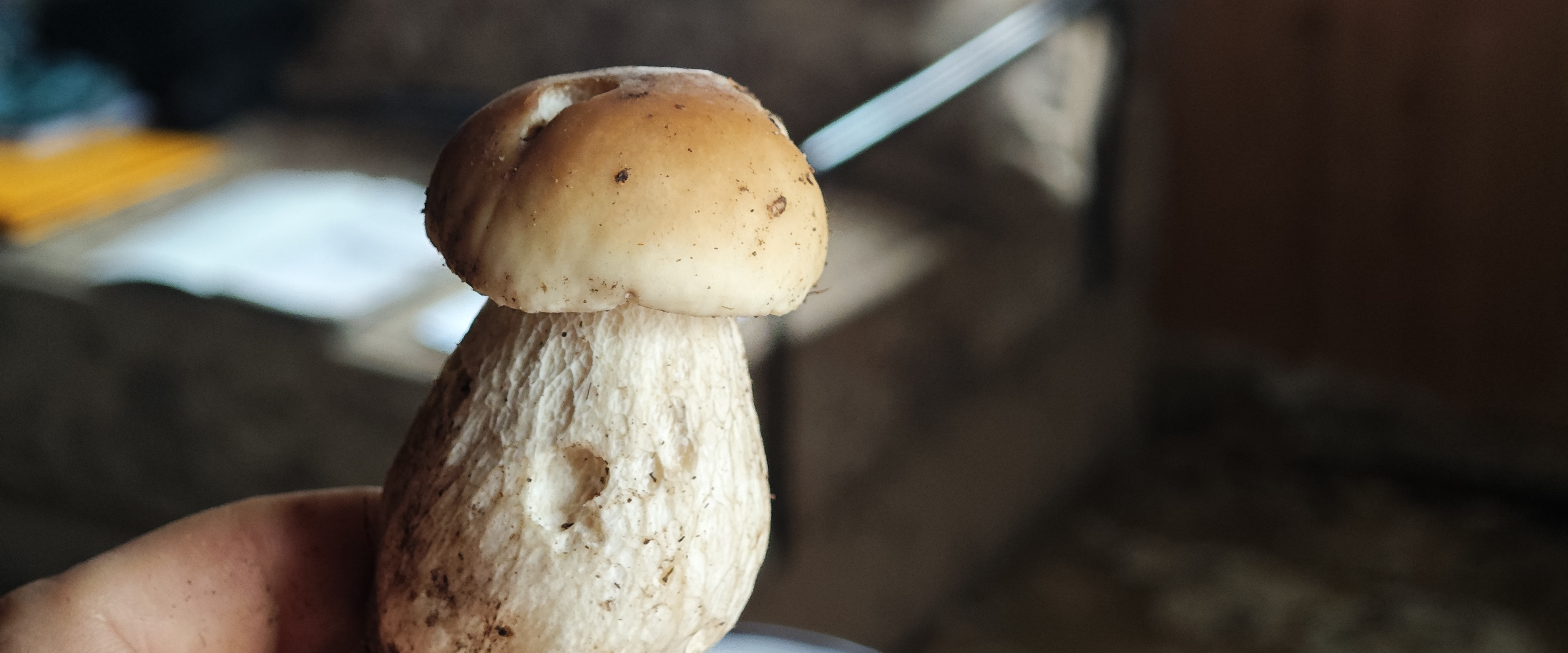 challenge background