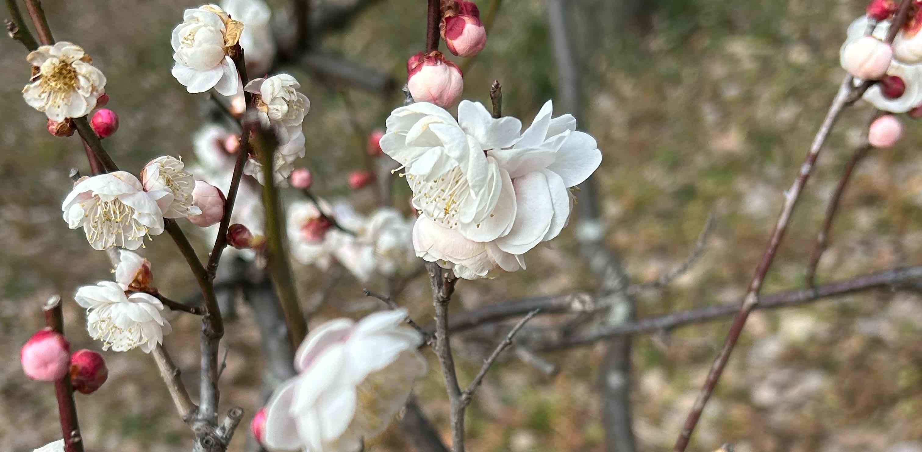 challenge background