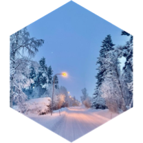 January stroll icon