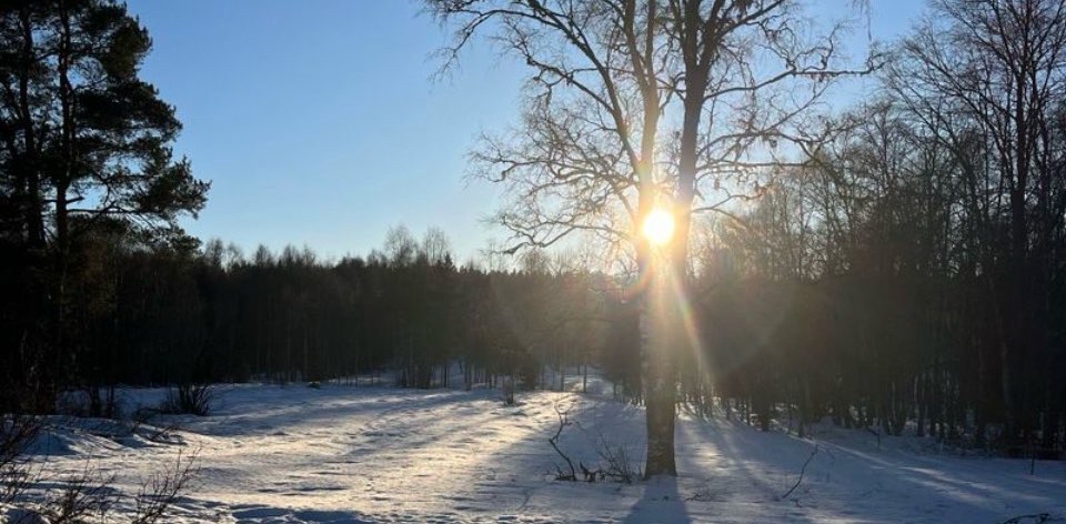 challenge background