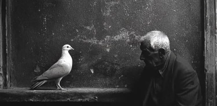 challenge background