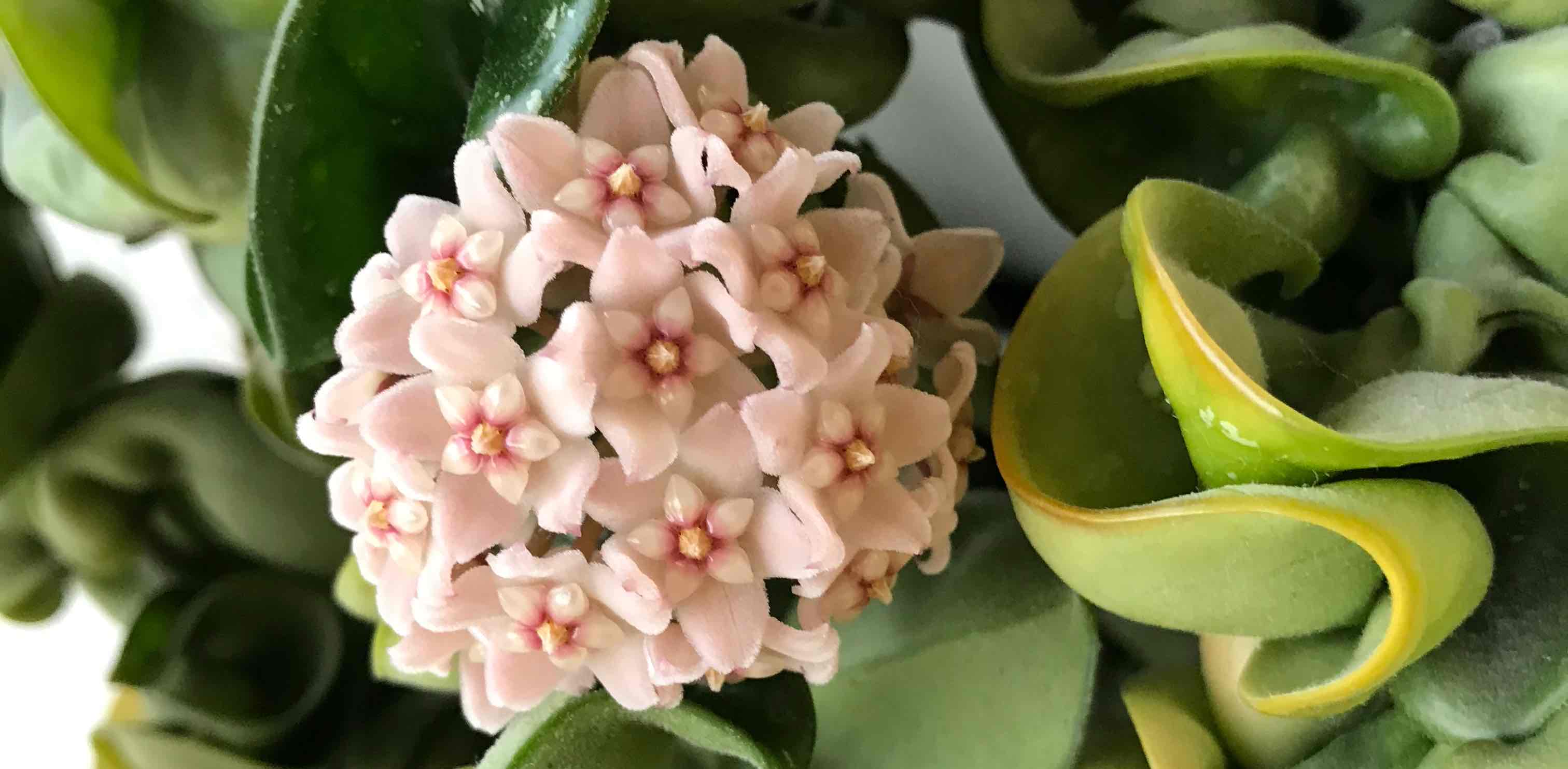 challenge background