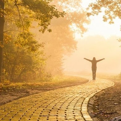 Шаги к себе logo