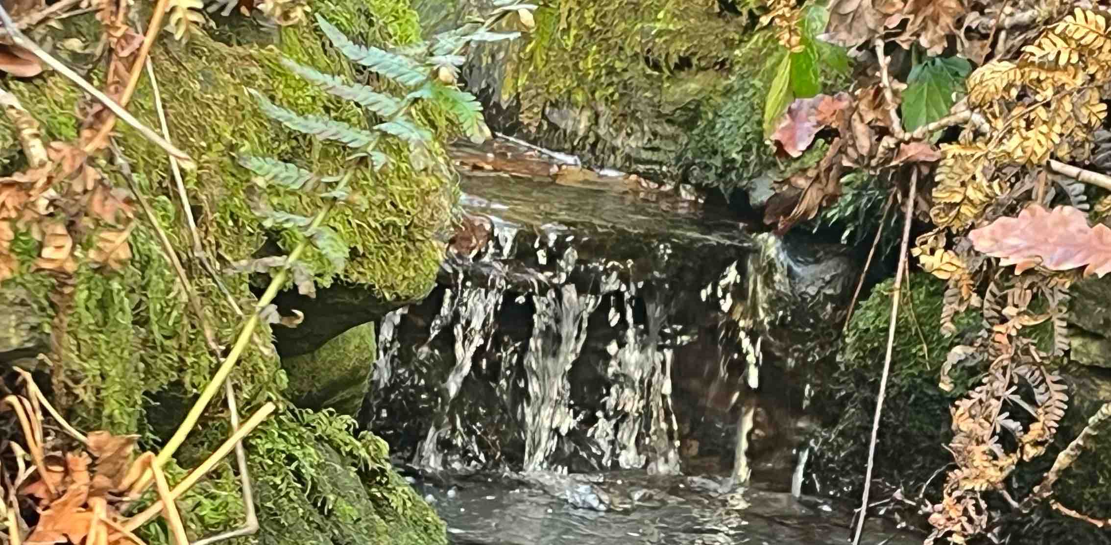 challenge background