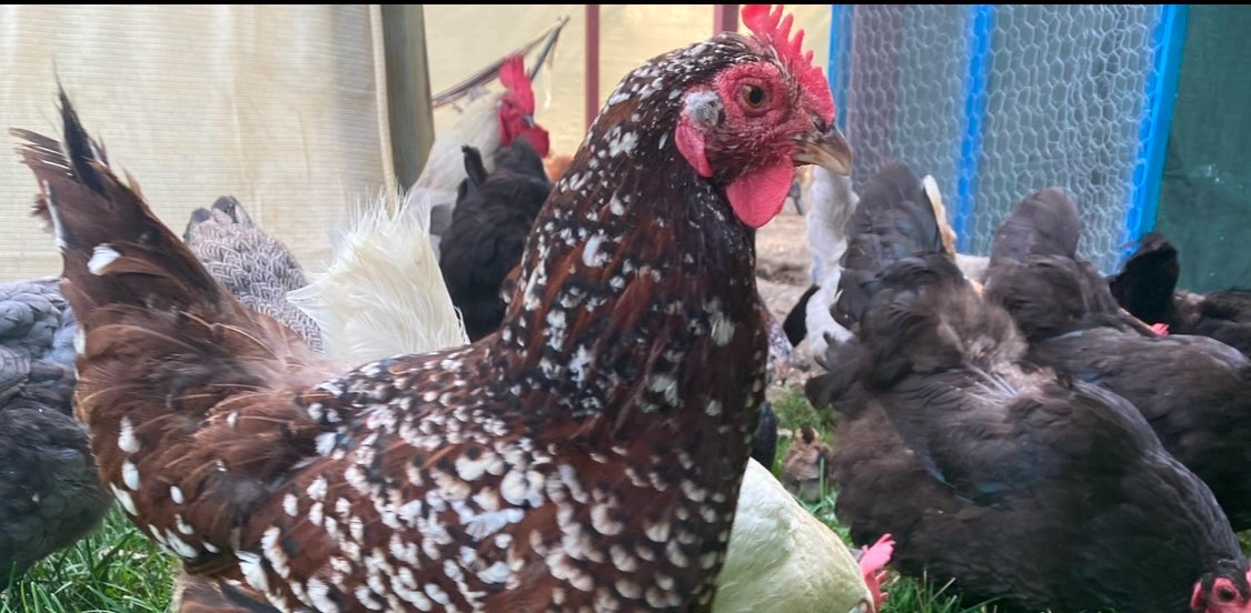 challenge background