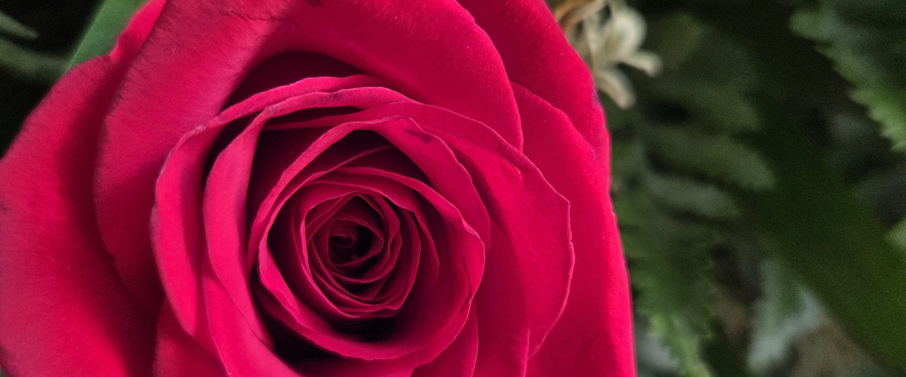 challenge background