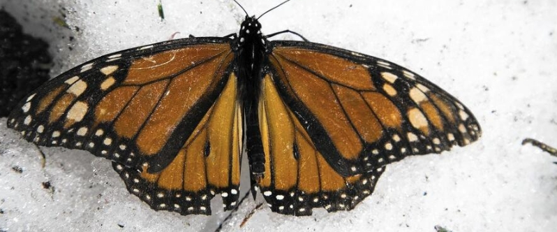 challenge background