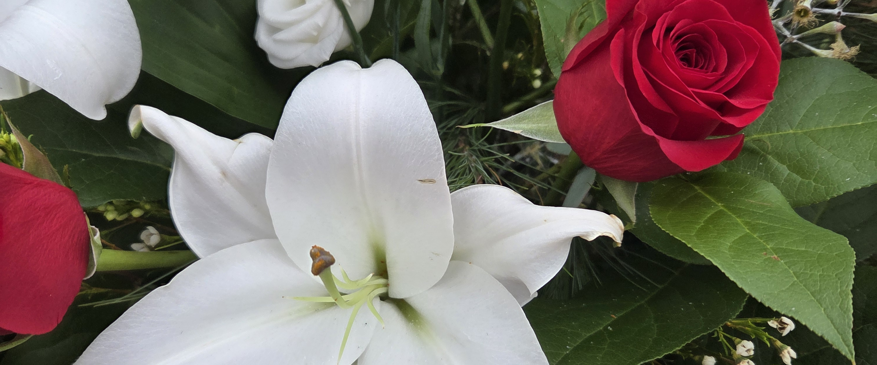 challenge background